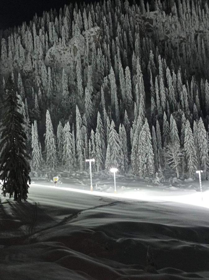 Appartamento Planinska Kuca Kata -Zabac Jahorina Esterno foto